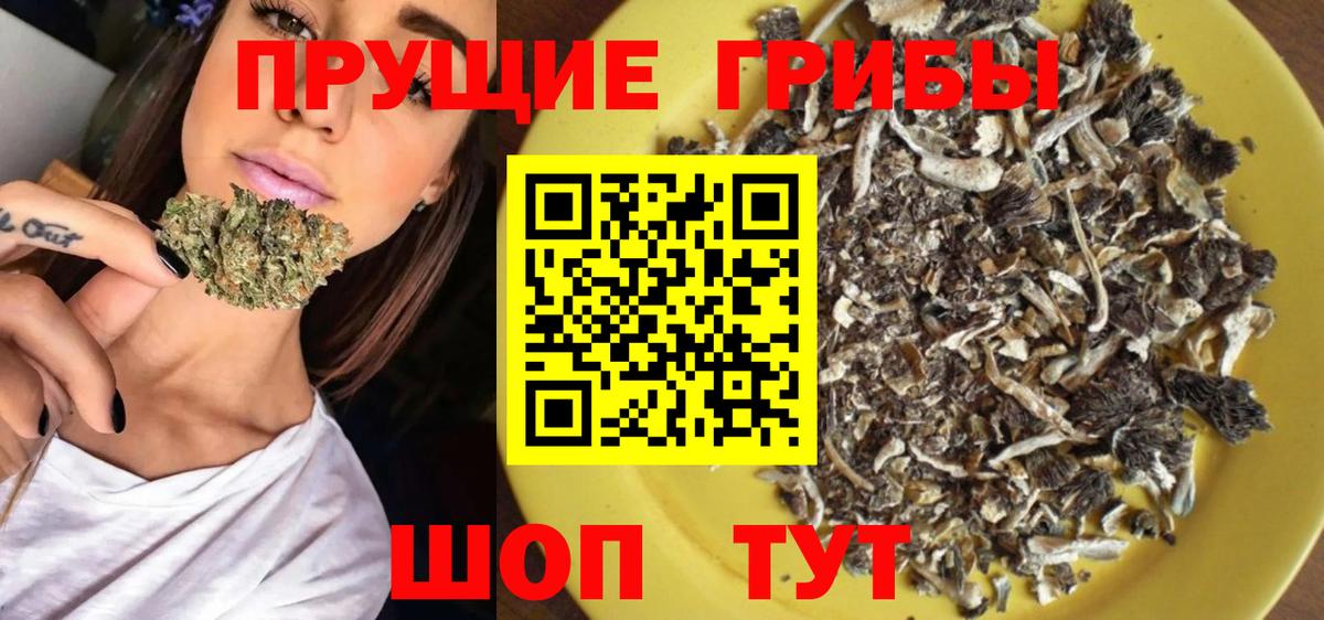 Псилоцибиновые грибы прущие грибы Рузаевка